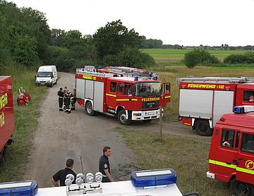 IMG 0435