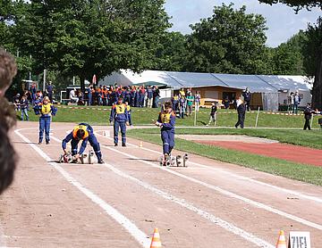 IMG_2638.JPG