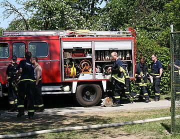 IMG_0795.JPG