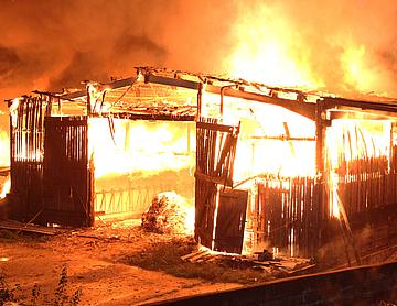 Tja-feuer sahms bauernhof15