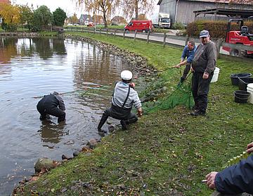 101030_131040_Abfischen_Zweites Durchziehen.JPG