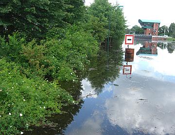 CIMG0390.JPG