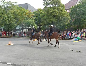 CIMG1327.JPG