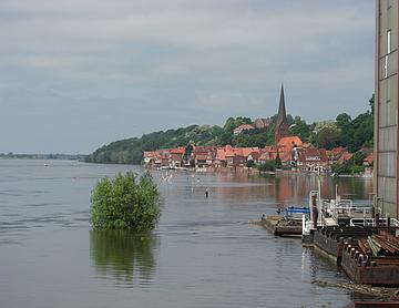 CIMG0325.JPG