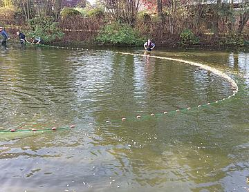 IMAG0777_1_.jpg