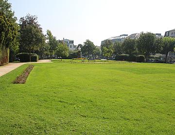 IMG_5289.JPG