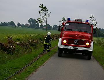 IMGP4187.JPG