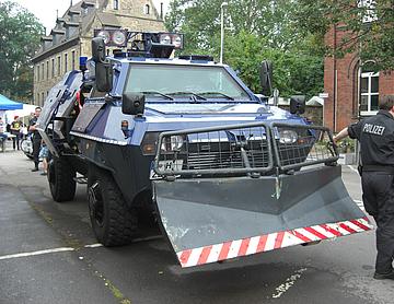 CIMG1373.JPG