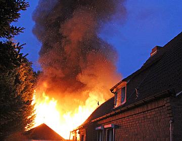Tja-feuer schuppen  372375B