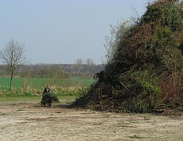 CIMG4494.JPG