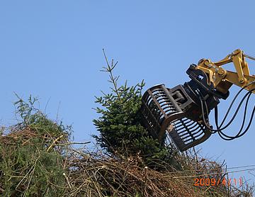 CIMG1136.JPG