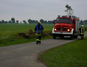 IMGP4176.JPG
