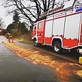 #⃣ 13/2023
📟 Ölspur [TH K AUST]
📆 21.03.2023, 13:07 Uhr
📍 Dassendorf - Steinberg
🚒 HLF, MZF
🚓 POL
. 
Einsatzbericht:...