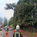 #⃣ 64/2024
📟 Ast droht zu fallen [TH K DRZF]
📆 28.11.2024, 15:19 Uhr
📍 Dassendorf - Wendelweg
🚒 LF, HLF
🚓...