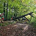#⃣ 39/2023
📟 Baum auf Gehweg [TH K 00]
📆 22.10.2023, 09:21 Uhr
📍 Dassendorf - Langenstückenweg/Totenweg
🚒 HLF, LF,...